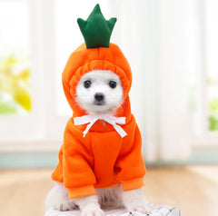 Disfraz Suéter Frutal para Perros – Calidez y Diversión de Halloween
