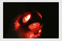 Pelota Interactiva para Perros con Sonido y Rebote | PAWLI 🐾