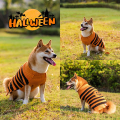 Suéter Halloween para Perros – Cálido, Cómodo y con Estilo