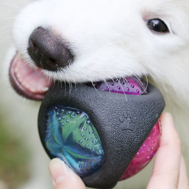 Pelota Interactiva para Perros con Sonido y Rebote | PAWLI 🐾