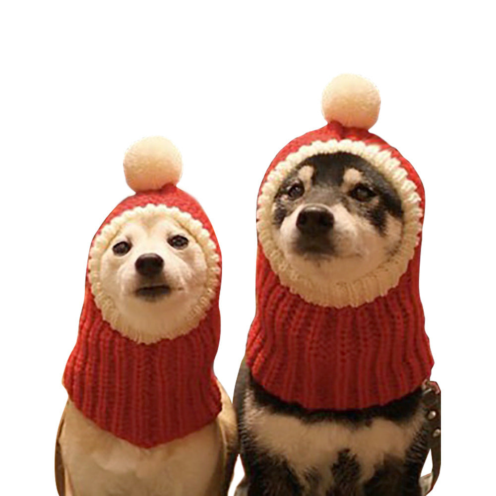 Gorro Navideño y de Halloween para Perros 🎃🎄 | PAWLI