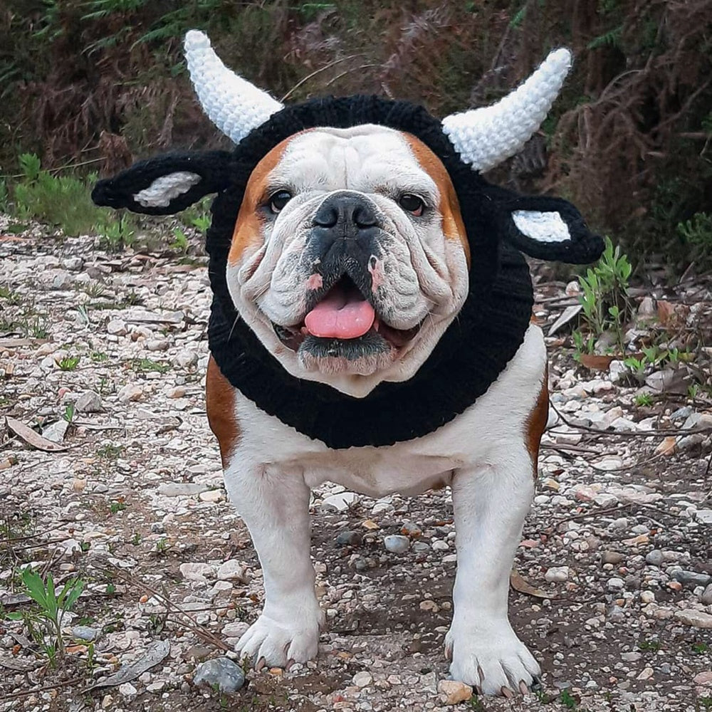 Gorro Tejido Antiviento de Halloween para Perros 🎃 | PAWLI
