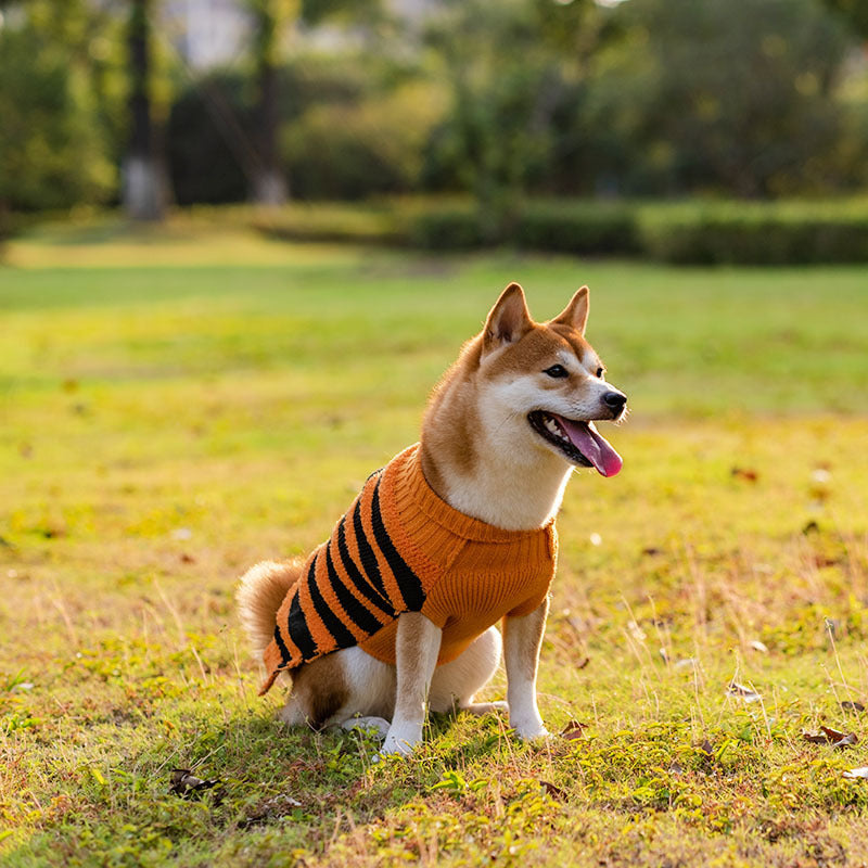 Suéter Halloween para Perros  – Cálido, Cómodo y con Estilo