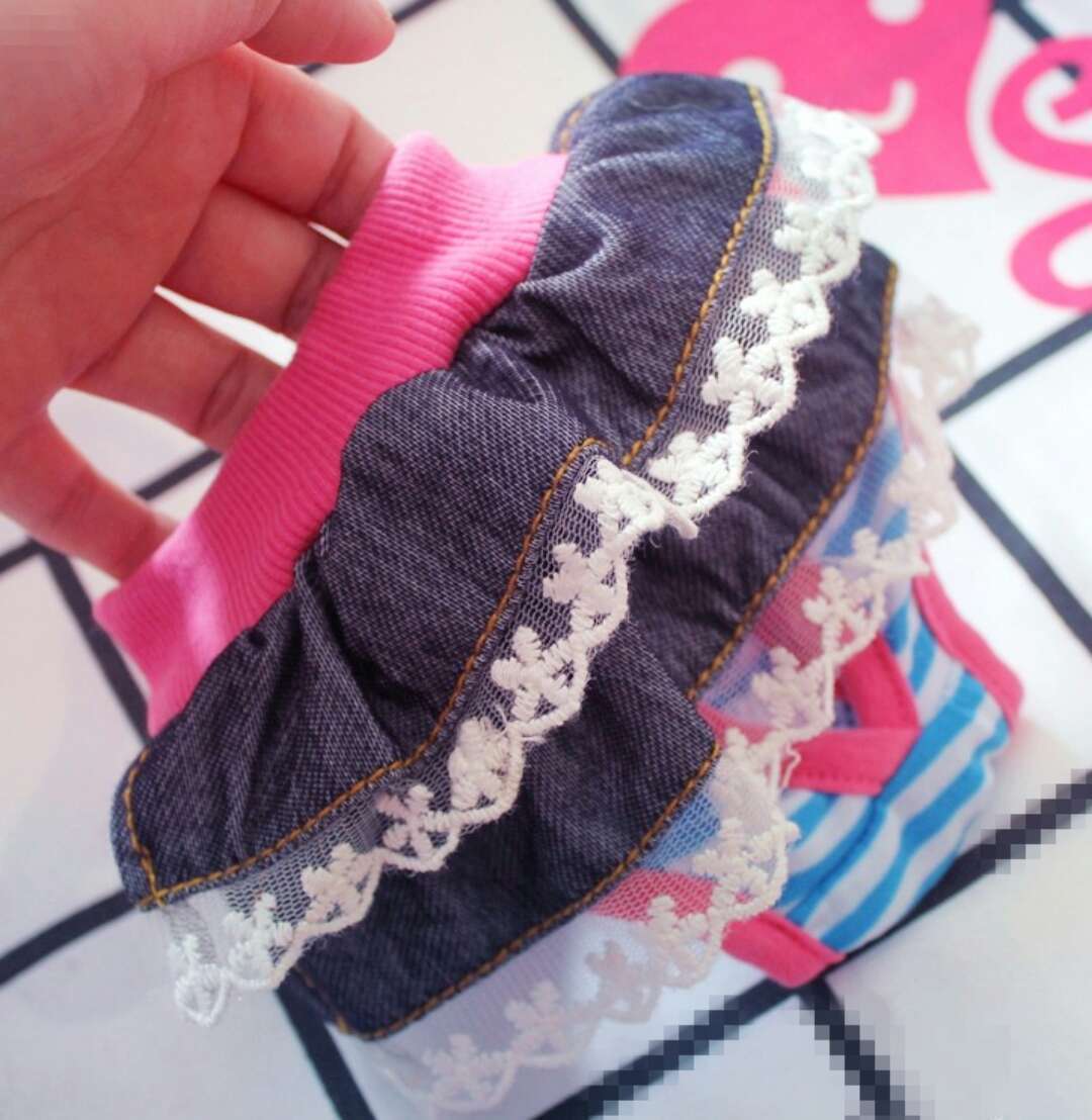 Pañal Femenino para Perros | Ropa Interior Fisiológica PAWLI 🐾