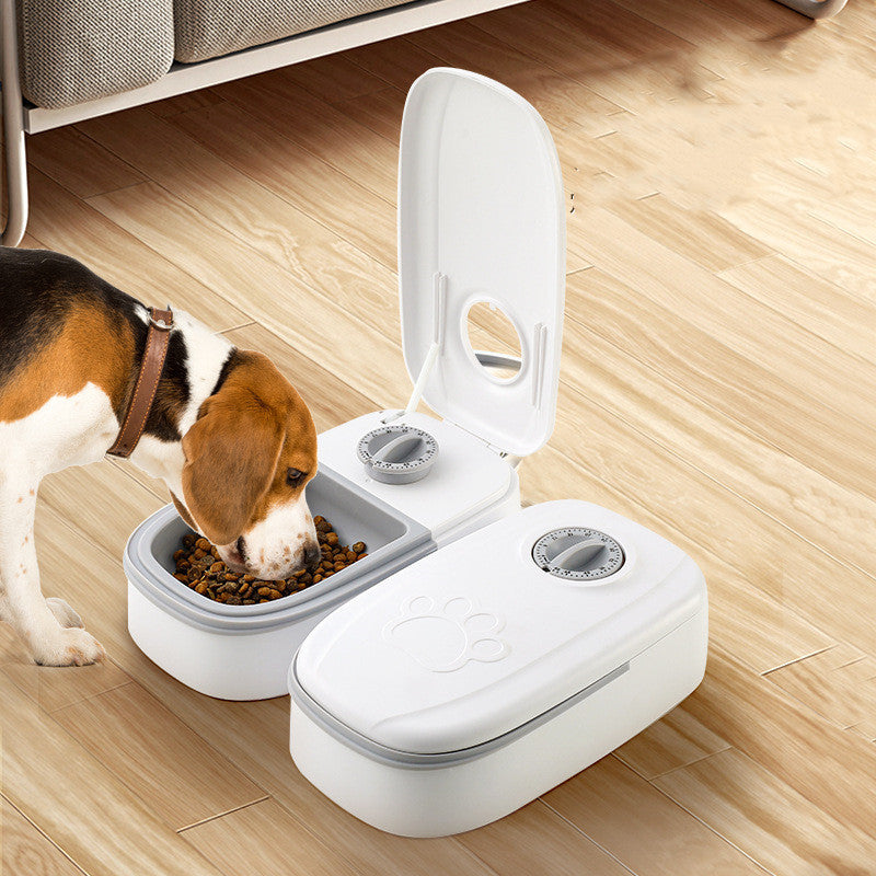 Comedero automático doble para perros y gatos | PAWLI